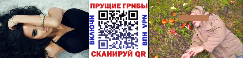 ссылка на мегу зеркало  Динская  Галлюциногенные грибы MAGIC MUSHROOMS  как найти  