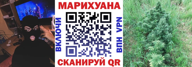 Бошки марихуана сатива  Динская 